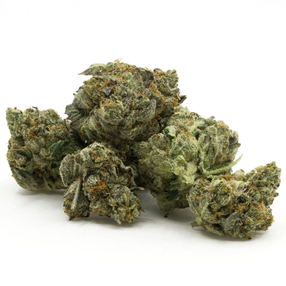 Death-Gas-1-1.jpg Death Gas - Image 1
