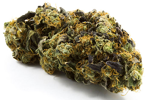 LA-Confidential-Indica.jpg LA Confidential Indica - Image 1