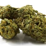 White Widow